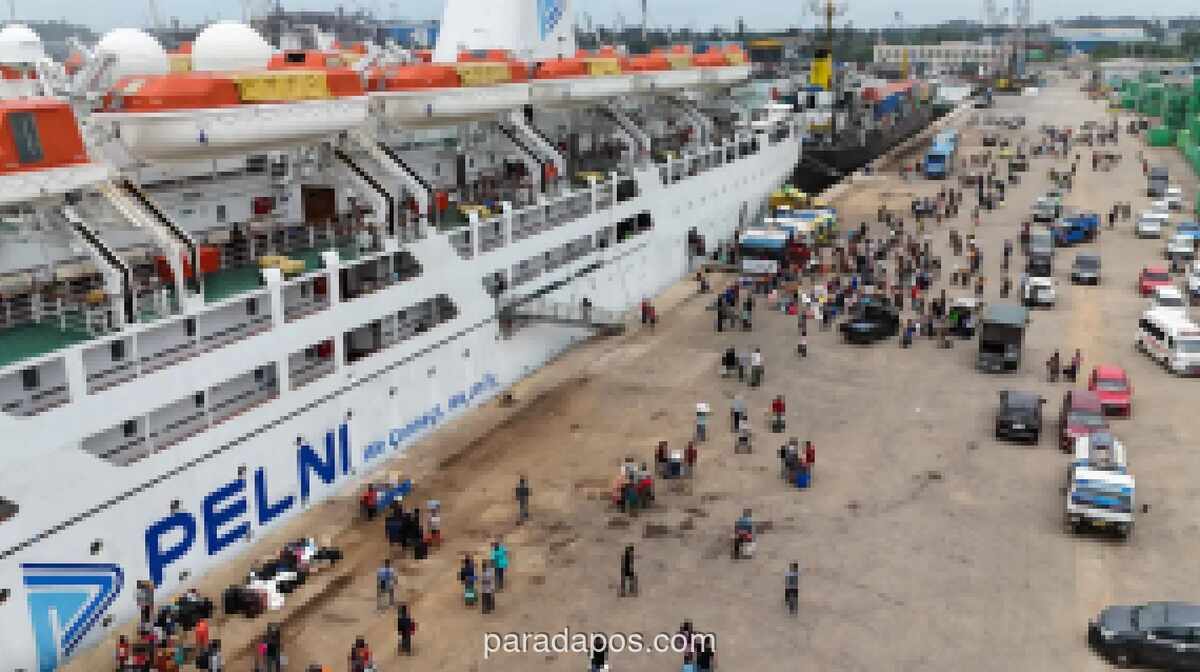 Pelni Buka Lowongan Dokter dan Perawat Kapal untuk Kontrak Kerja Laut 2026, Pendaftaran Dibuka 1–31 Juli