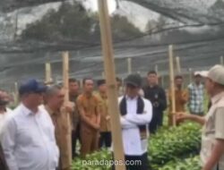 Mentan Amran Pastikan Pemulihan Kopi Gayo Pascabencana, Targetkan Kesejahteraan Petani