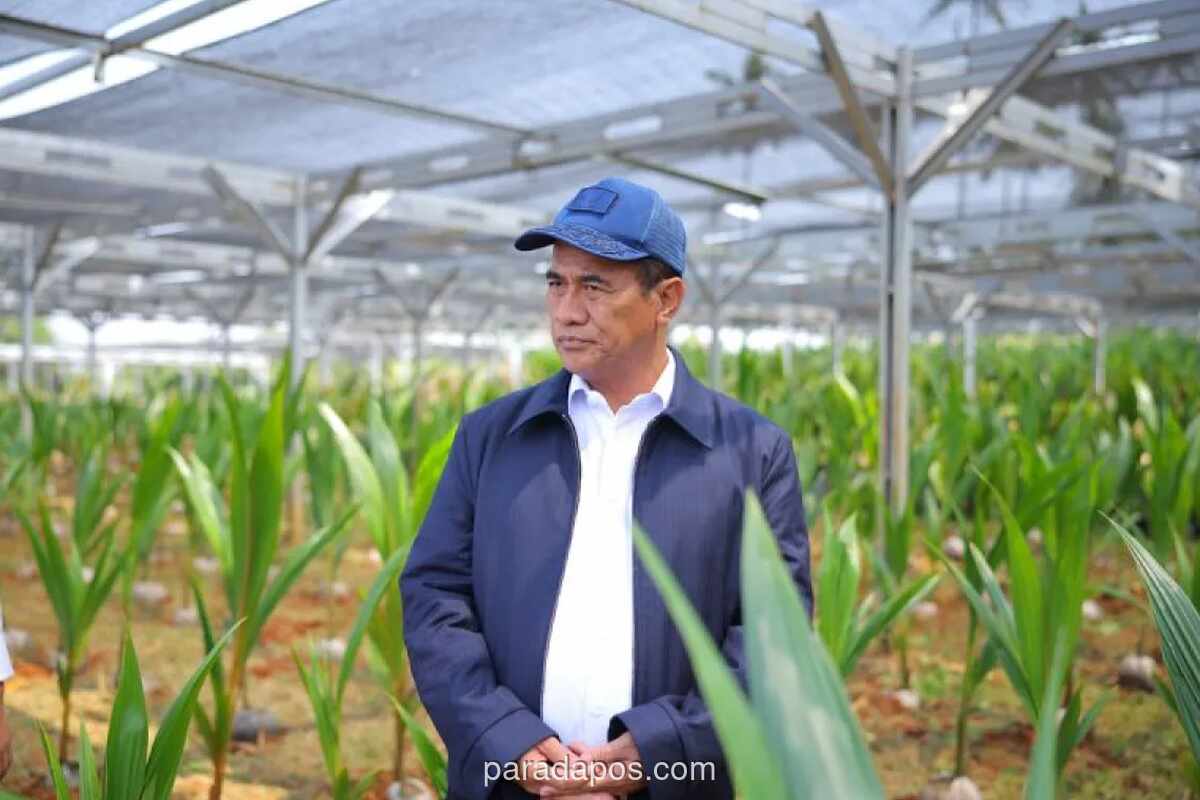 Menteri Pertanian Siapkan Benih Unggul Gratis untuk 870 Ribu Hektare Perkebunan Nasional