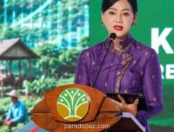 OJK Terbitkan Aturan Baru Perdagangan Karbon, Buka Peluang Unit Karbon Luar Negeri