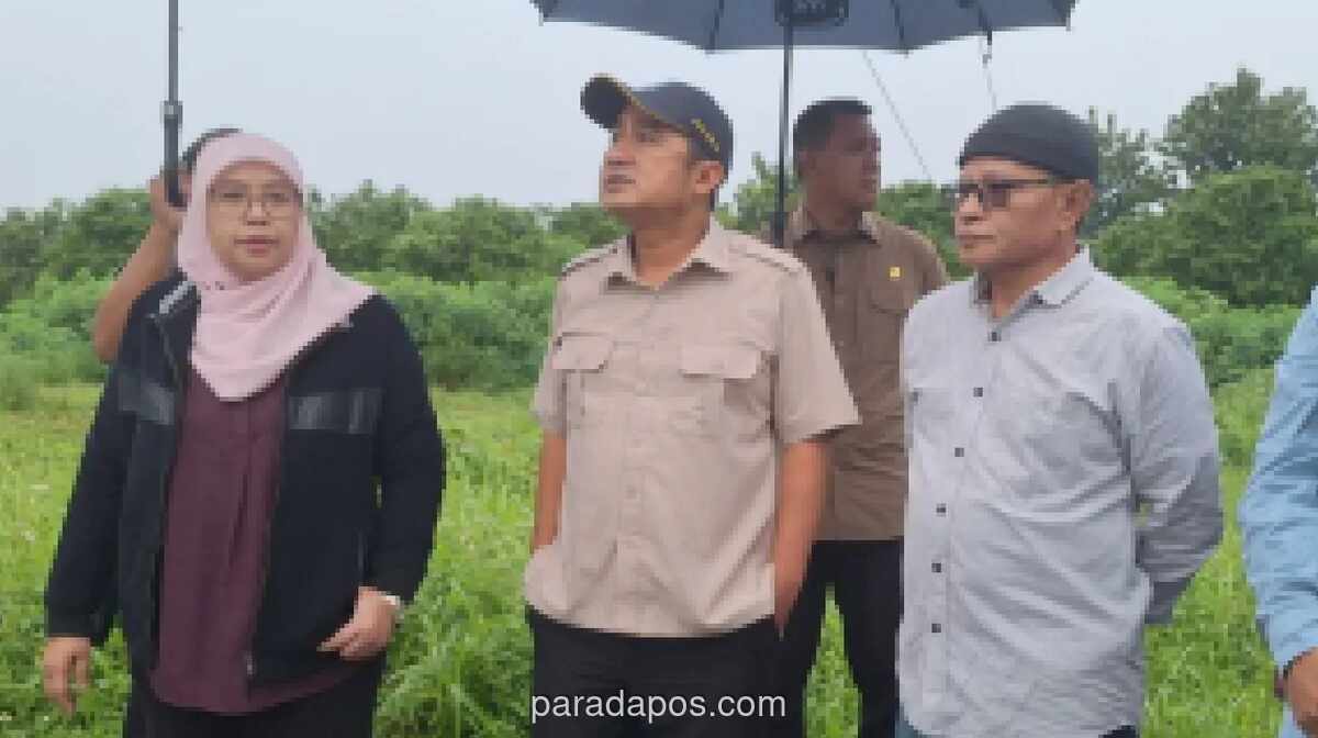 Pemkot Depok Koordinasi dengan KLH Cegah Kebakaran Berulang di TPA Cipayung