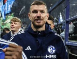Edin Dzeko Perpanjang Kontrak di Schalke hingga 2027, Tolak Tawaran Serie A dan MLS