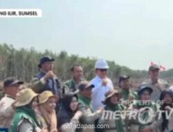 Pemerintah Jamin Pupuk dan Bibit Gratis untuk Petani Program Cetak Sawah Rakyat