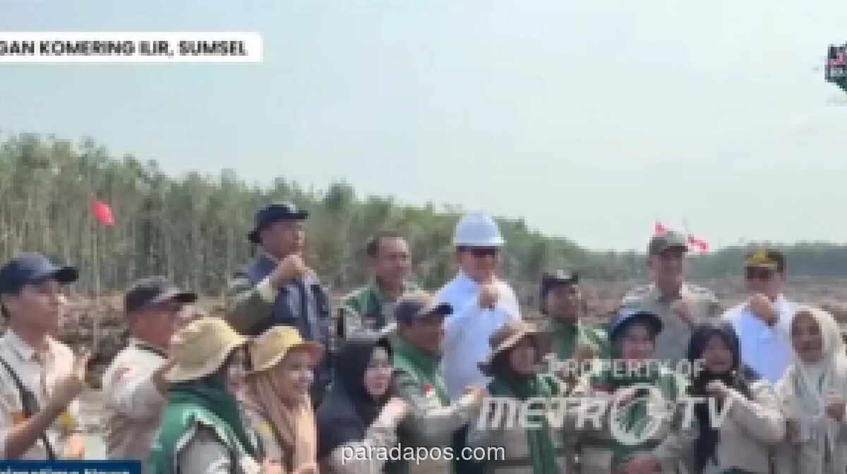 Pemerintah Jamin Pupuk dan Bibit Gratis untuk Petani Program Cetak Sawah Rakyat