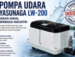 Program Makan Bergizi Gratis dan Sekolah Rakyat Terkendala Pengelolaan Air Limbah Tanpa IPAL Memadai