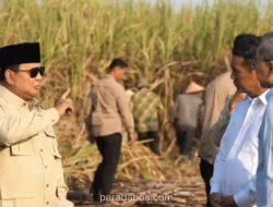 Prabowo Akan Pangkas Anggaran TNI dan Polri untuk Alihkan Dana ke Penghapusan Kemiskinan Ekstrem