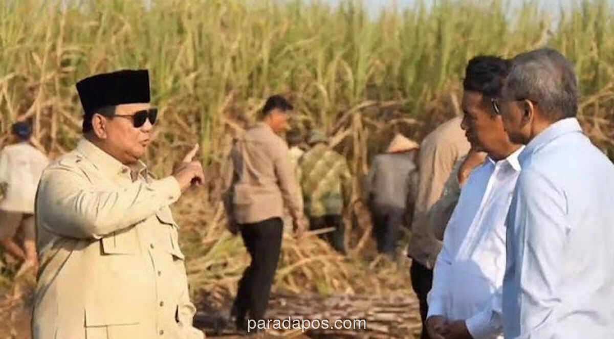 Prabowo Akan Pangkas Anggaran TNI dan Polri untuk Alihkan Dana ke Penghapusan Kemiskinan Ekstrem