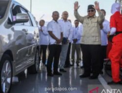 Presiden Prabowo Targetkan Bangun PLTS 100 GW dalam Dua Tahun