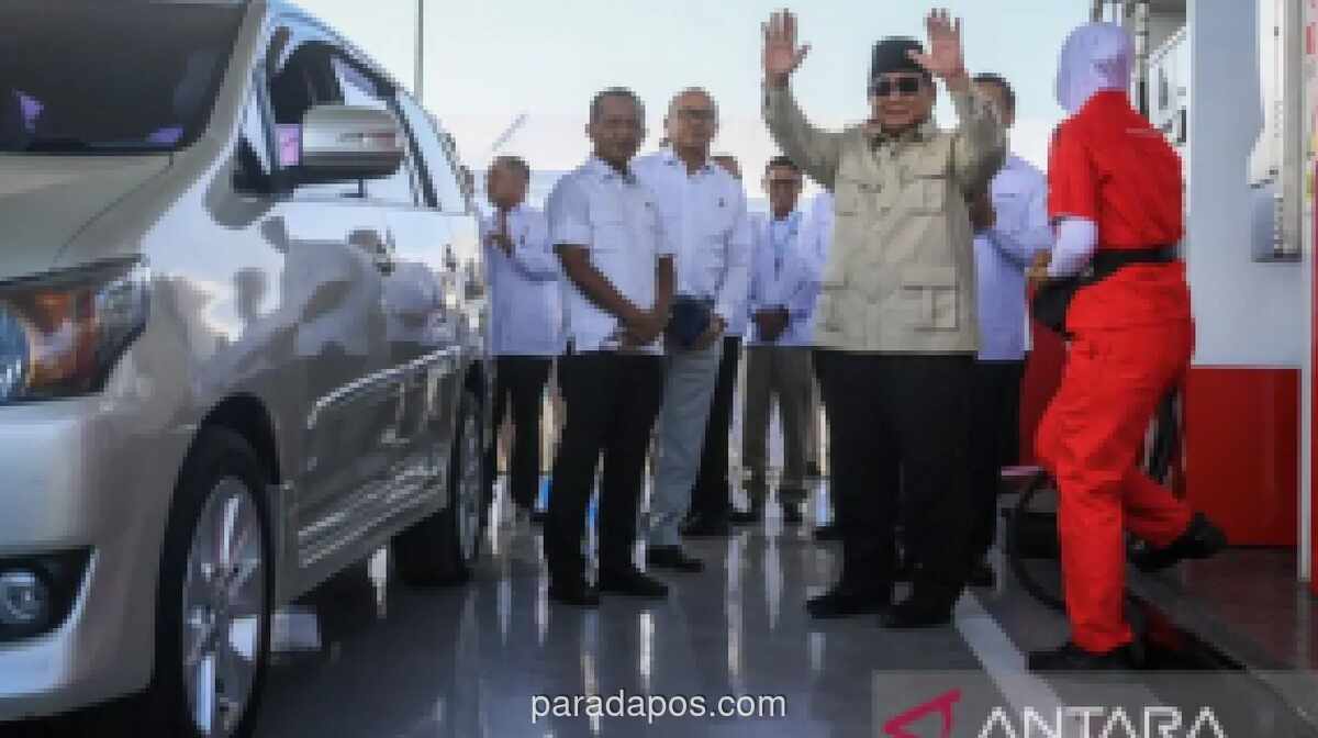 Presiden Prabowo Targetkan Bangun PLTS 100 GW dalam Dua Tahun