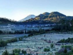 BMKG: Wonosobo dan Dieng Cerah Sepanjang Hari, Suhu Malam Hari Diprediksi Turun Drastis