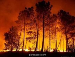 Prancis Alami Lonjakan Kebakaran Lahan, 11.000 Titik Api Hanguskan 35.000 Hektare di Awal 2025