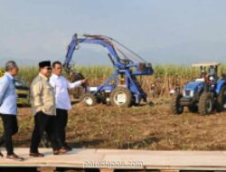 Presiden Prabowo Pimpin Panen Raya Serentak TNI di Malang, Buktikan Sinergi Militer dan Petani