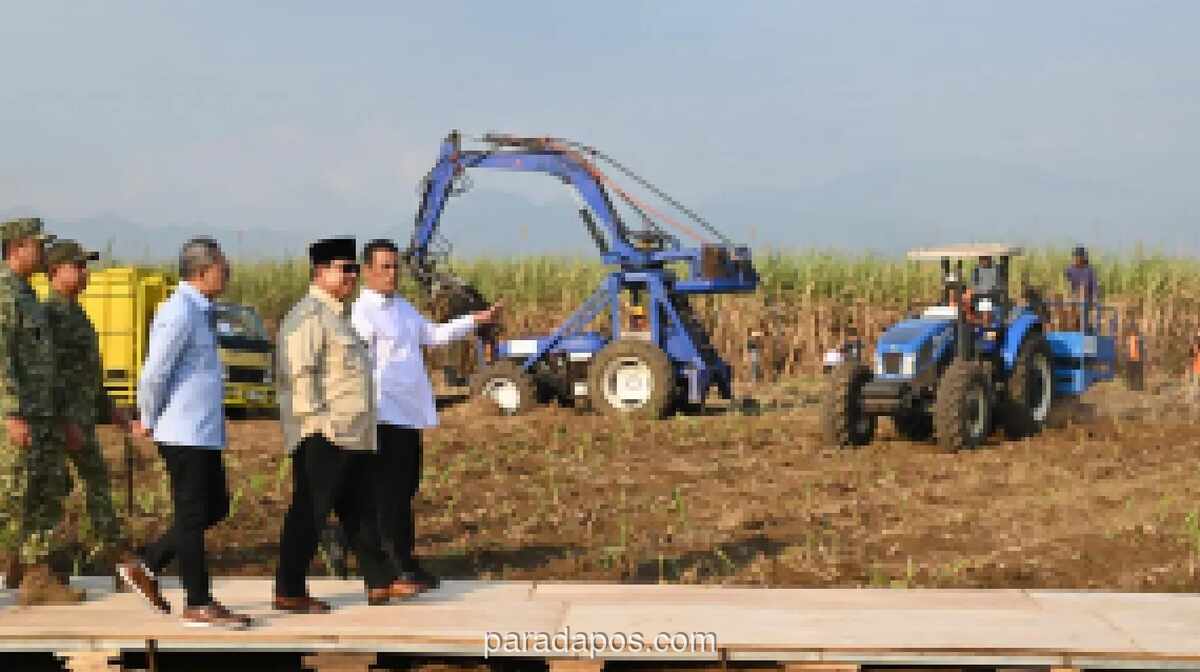 Presiden Prabowo Pimpin Panen Raya Serentak TNI di Malang, Buktikan Sinergi Militer dan Petani