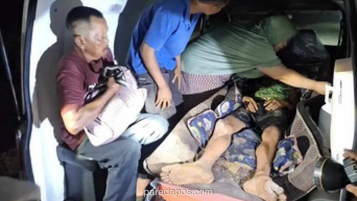Pekerja Alat Berat Diterkam Harimau Sumatera saat BAB di Kanal, Selamat Meski Luka Parah