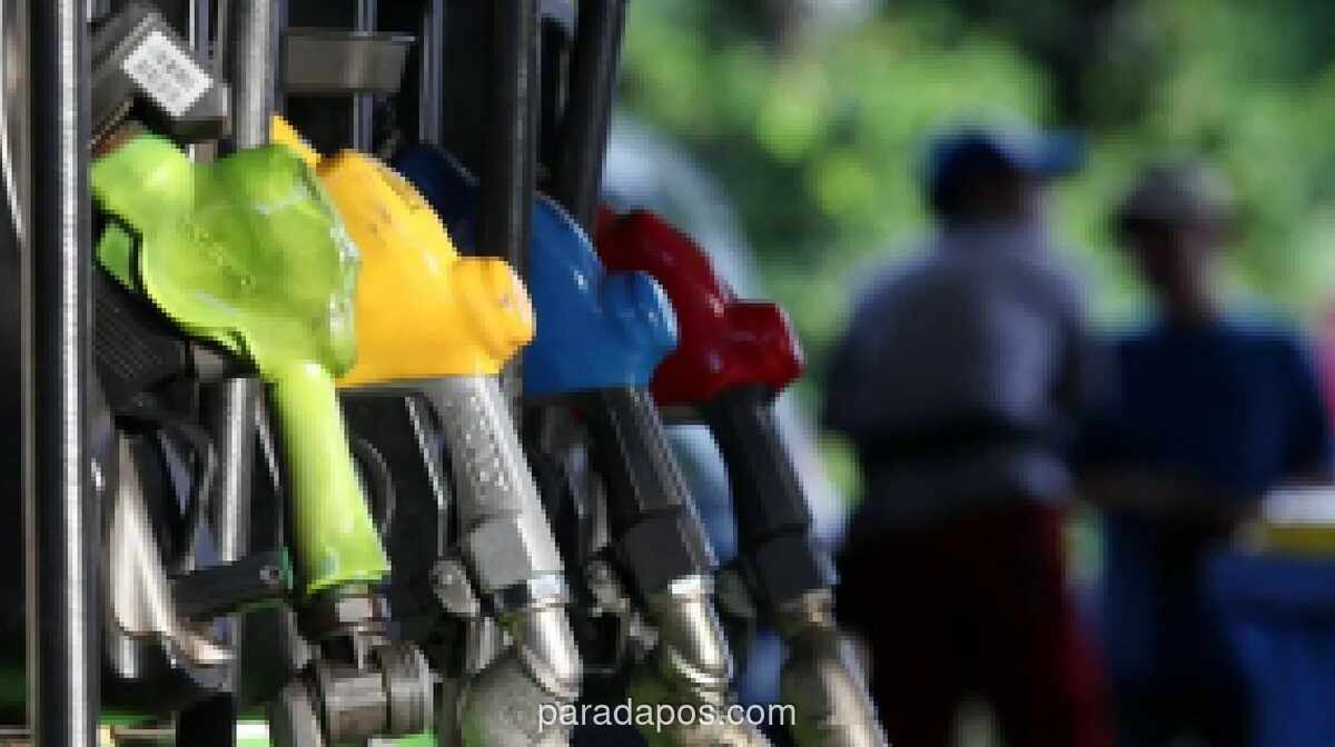 Kebijakan Bensin E10 Dinilai Hanya Kurangi Impor BBM 5-10 Persen Tanpa Percepatan Mobil Listrik
