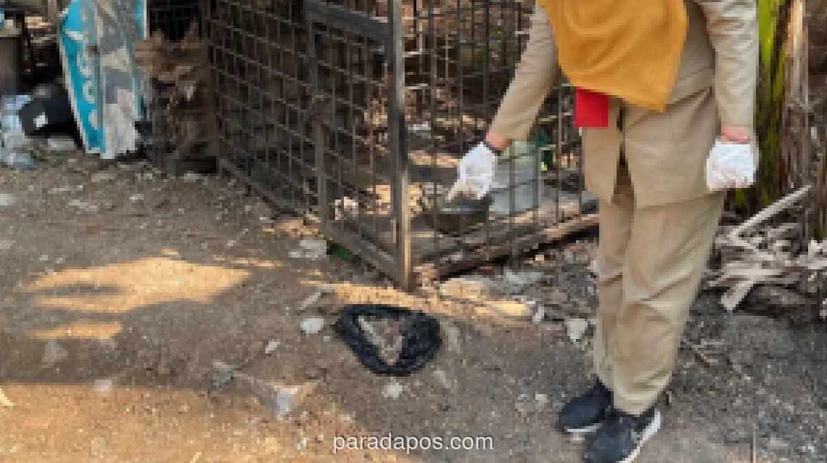 Petugas Temukan Potongan Anjing Membusuk di Warung Makan Duri Kosambi, Diduga Lokasi Jagal Ilegal