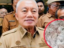 Gubernur Kalteng Minta Pengusaha Besar Siapkan Genset di Tengah Protes Ribuan Bangkai Ayam ke PLN