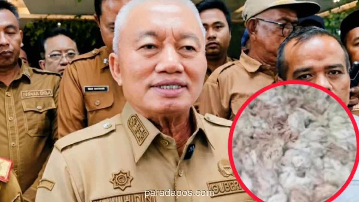 Gubernur Kalteng Minta Pengusaha Besar Siapkan Genset di Tengah Protes Ribuan Bangkai Ayam ke PLN