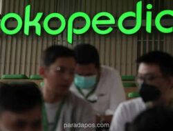 Divisi Teknologi Tokopedia Tersisa 35 Karyawan Usai PHK Massal Pasca Akuisisi TikTok