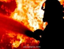 Kebakaran Landa Rumah di Cilandak Timur, 74 Personel Damkar Dikerahkan