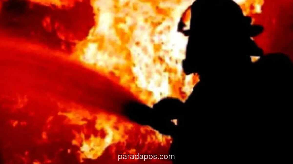 Kebakaran Landa Rumah di Cilandak Timur, 74 Personel Damkar Dikerahkan
