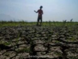 BMKG: 13 Kabupaten/Kota di Jabar Masuk Status Awas Kekeringan Meteorologis