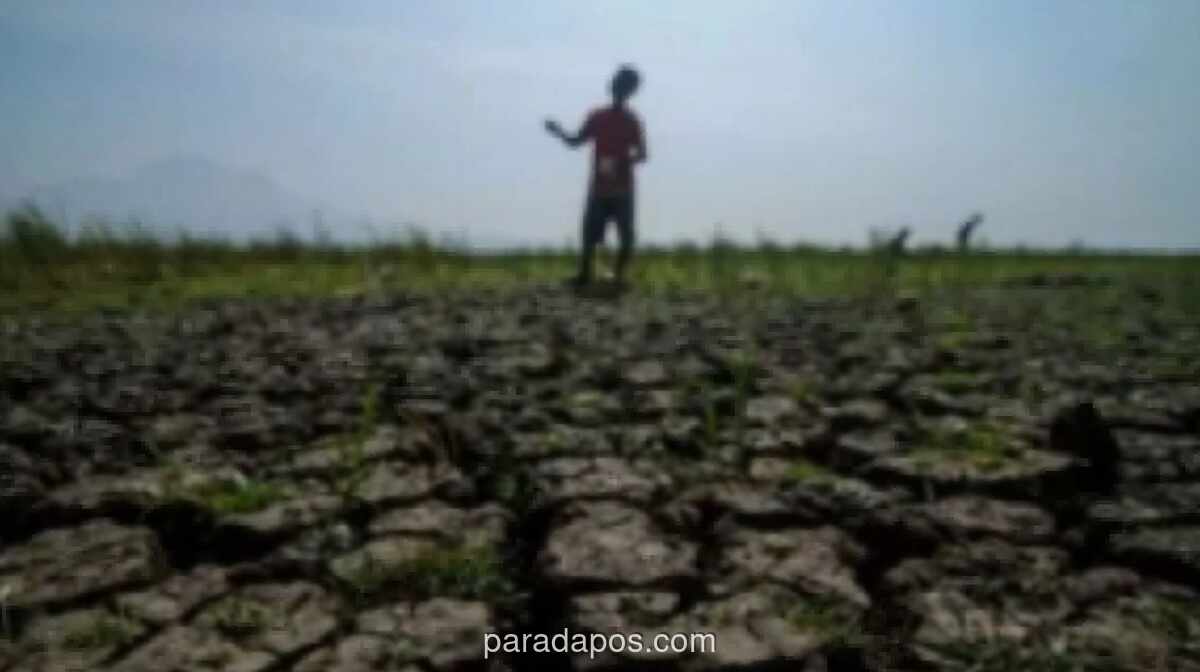 BMKG: 13 Kabupaten/Kota di Jabar Masuk Status Awas Kekeringan Meteorologis