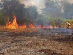 Kebakaran Lahan di Gunungkidul Capai 21 Hektare, BPBD Imbau Warga Tak Bakar Sampah Sembarangan