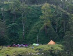 Kebakaran Lahan di Kaki Gunung Rinjani Padam, 30 Hektare Semak Belukar Hangus
