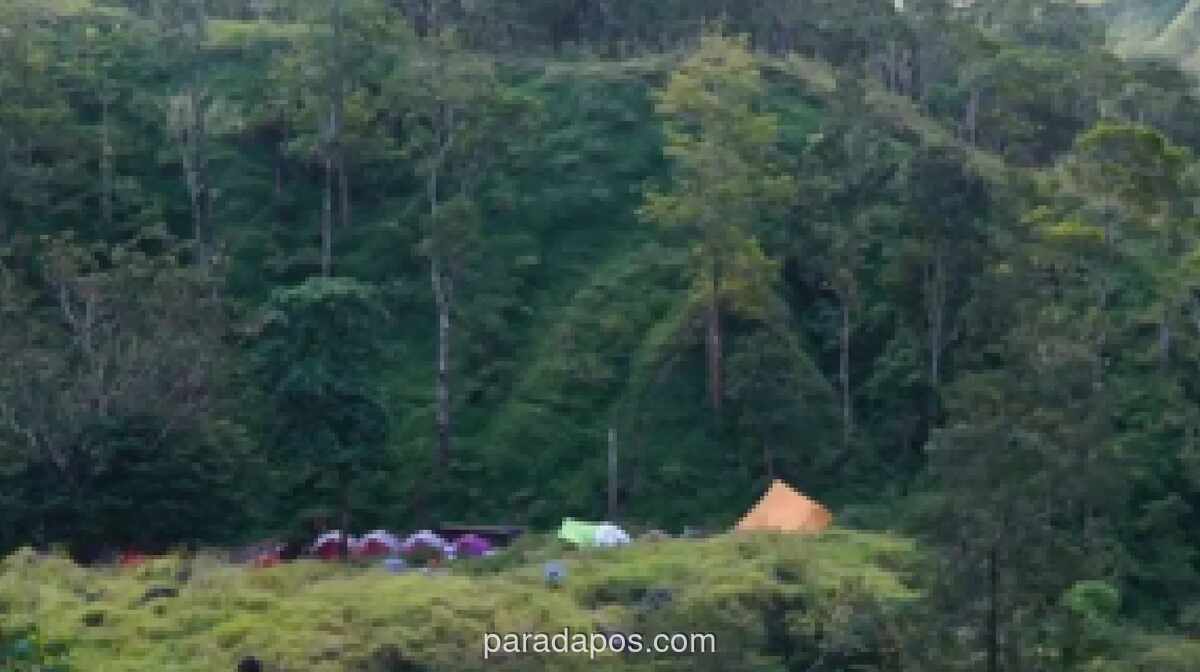 Kebakaran Lahan di Kaki Gunung Rinjani Padam, 30 Hektare Semak Belukar Hangus