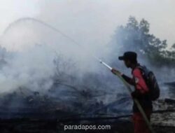 Brigdalkarhutla Kalsel Petakan Empat Titik Rawan Karhutla di Hutan Lindung Liang Anggang