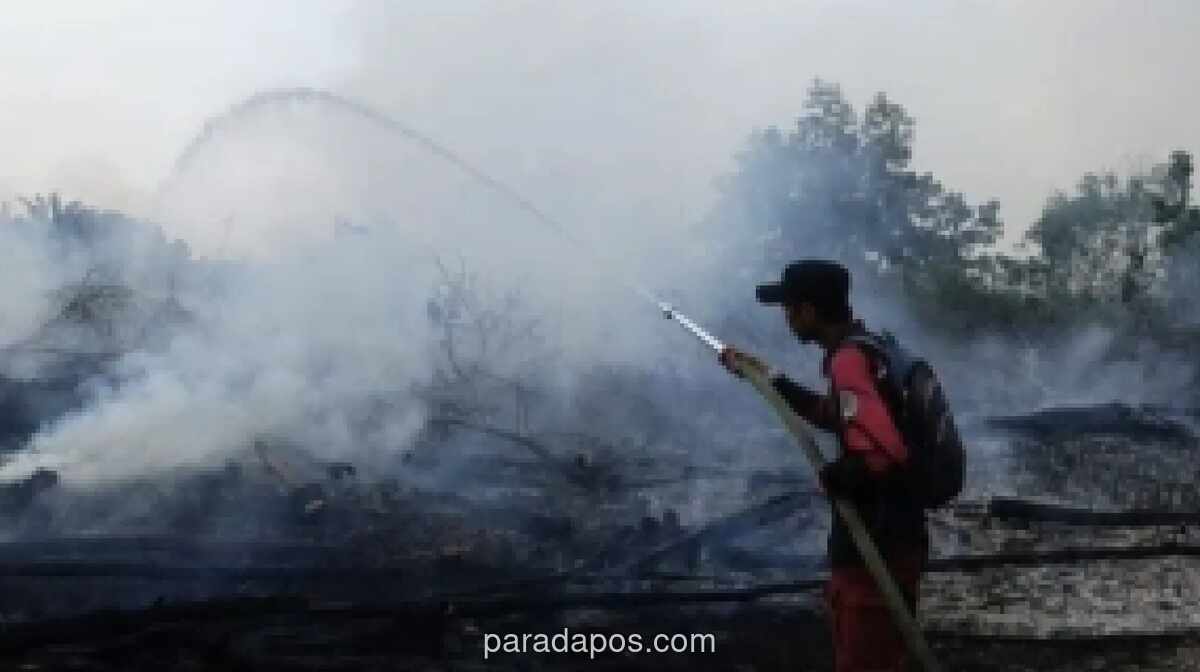 Brigdalkarhutla Kalsel Petakan Empat Titik Rawan Karhutla di Hutan Lindung Liang Anggang