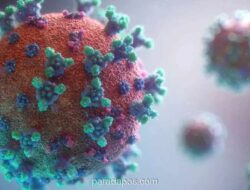AI Berhasil Rancang Genom Virus Baru, Ilmuwan Ingatkan Risiko Biosecurity