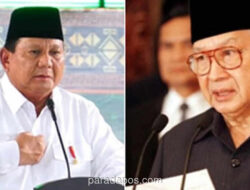 Analisis: Dua Benteng Penjaga Kekuasaan Prabowo dan Kritik atas Taktik Too Big to Fail ala Jokowi