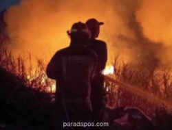 Karhutla di Pulang Pisau Meluas ke 122 Hektare, Api Mendekati Permukiman dan Badan Jalan