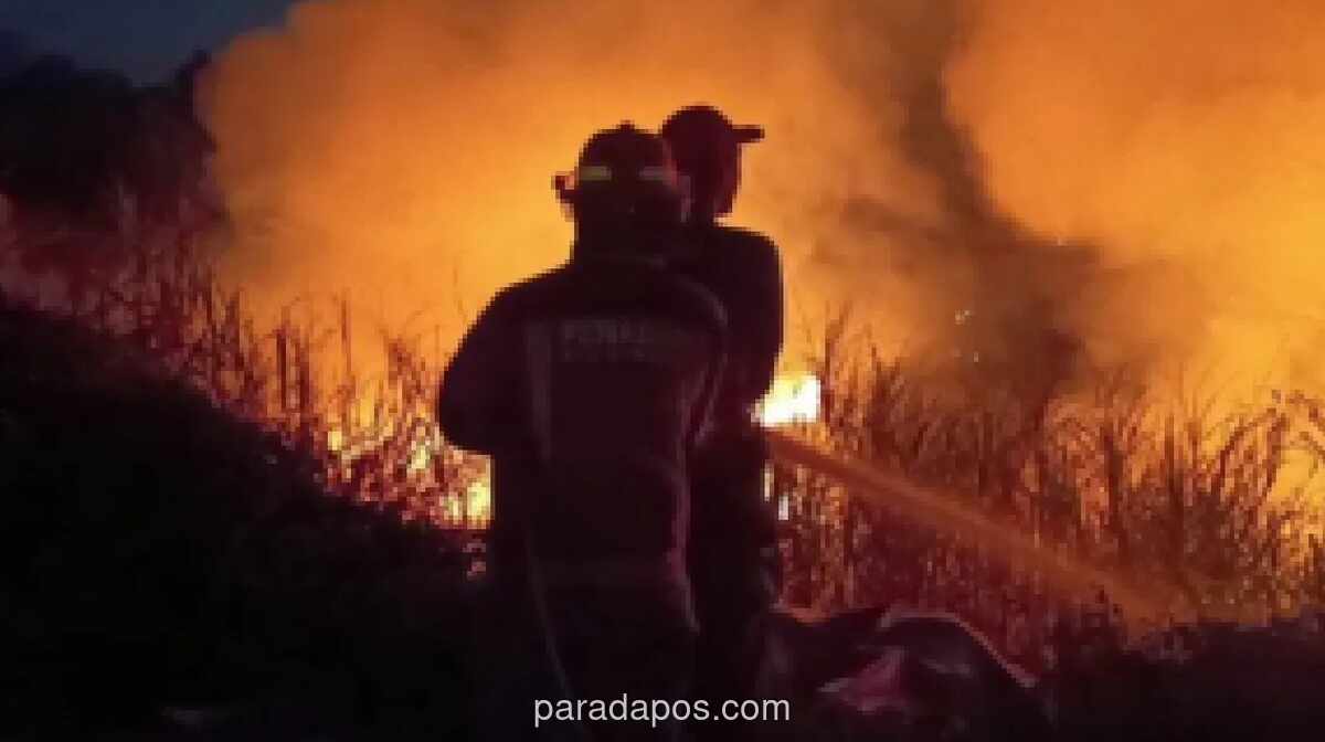 Karhutla di Pulang Pisau Meluas ke 122 Hektare, Api Mendekati Permukiman dan Badan Jalan
