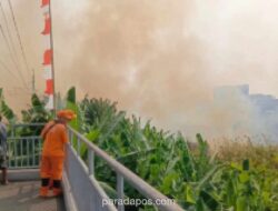 Kebakaran Lahan Alang-Alang di Ancol, 30 Personel Damkar Dikerahkan