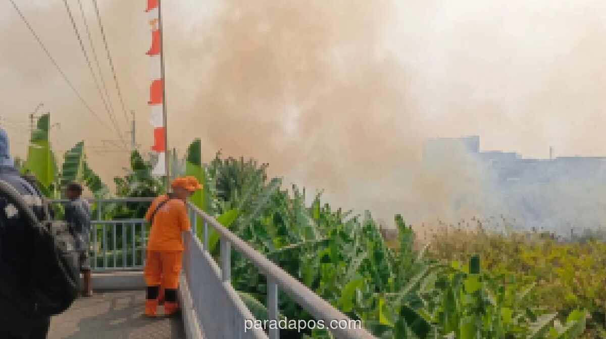 Kebakaran Lahan Alang-Alang di Ancol, 30 Personel Damkar Dikerahkan