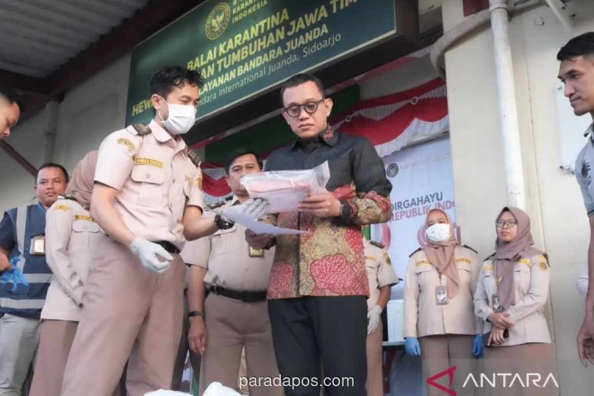 Kepala Barantin Inspeksi Mendadak Pelayanan Karantina di Bandara Juanda Sidoarjo