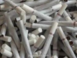 Bea Cukai Semarang Gagalkan Penyelundupan 3,28 Juta Batang Rokok Ilegal di Gerbang Tol Banyumanik