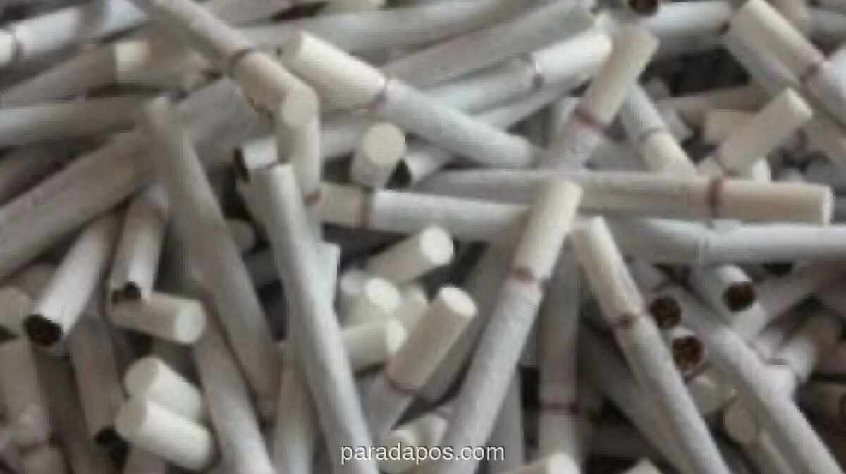 Bea Cukai Semarang Gagalkan Penyelundupan 3,28 Juta Batang Rokok Ilegal di Gerbang Tol Banyumanik