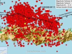 BMKG Catat 2.768 Gempa Susulan Guncang NTT, 70 Orang Tewas Akibat Gempa M 7,7