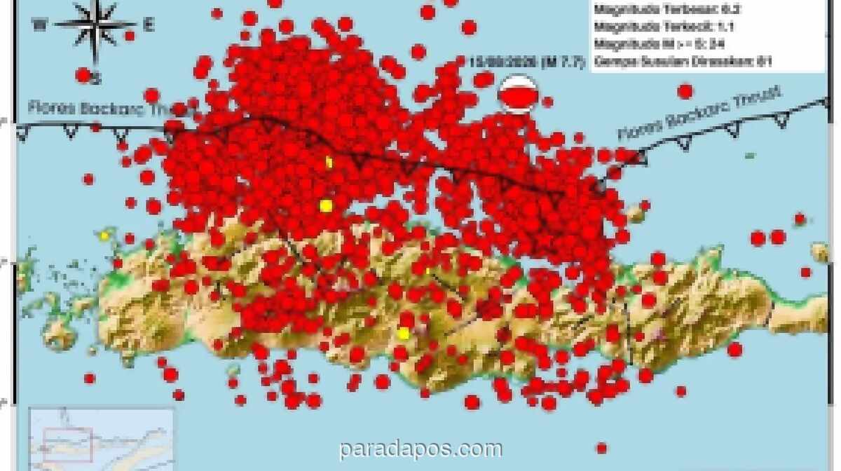 BMKG Catat 2.768 Gempa Susulan Guncang NTT, 70 Orang Tewas Akibat Gempa M 7,7
