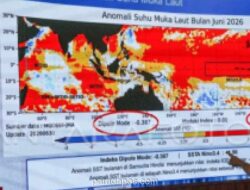 BMKG: El Nino 2026 Masuk Kategori Kuat, Sejumlah Wilayah Berpotensi Alami Kemarau Lebih Kering dan Panjang