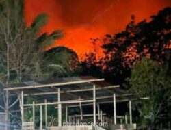 BNPB Padamkan Kebakaran Hutan dan Lahan 2,5 Hektare di Perbukitan Bula, Maluku