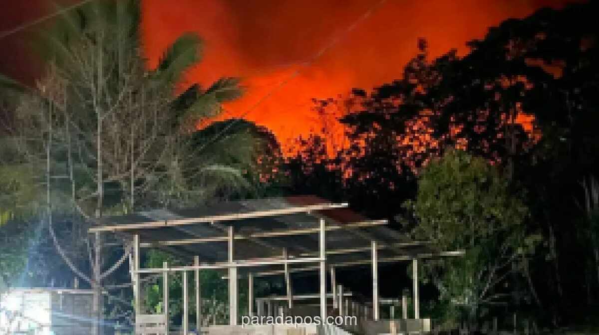 BNPB Padamkan Kebakaran Hutan dan Lahan 2,5 Hektare di Perbukitan Bula, Maluku