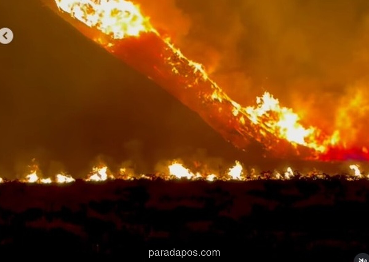 Kebakaran Meluas, TNBTS Tutup Total Seluruh Akses Wisata Gunung Bromo