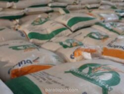 Bulog Salurkan Bantuan Pangan 10 Ton Beras dan 1.000 Liter Minyak Goreng untuk Warga Terdampak Gempa NTT
