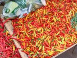 BPS Catat Deflasi 0,14 Persen pada Juli 2026, Harga Bawang dan Cabai Anjlok