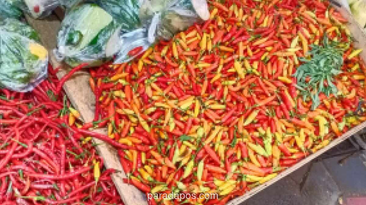 BPS Catat Deflasi 0,14 Persen pada Juli 2026, Harga Bawang dan Cabai Anjlok